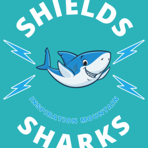 1st Grade Shark